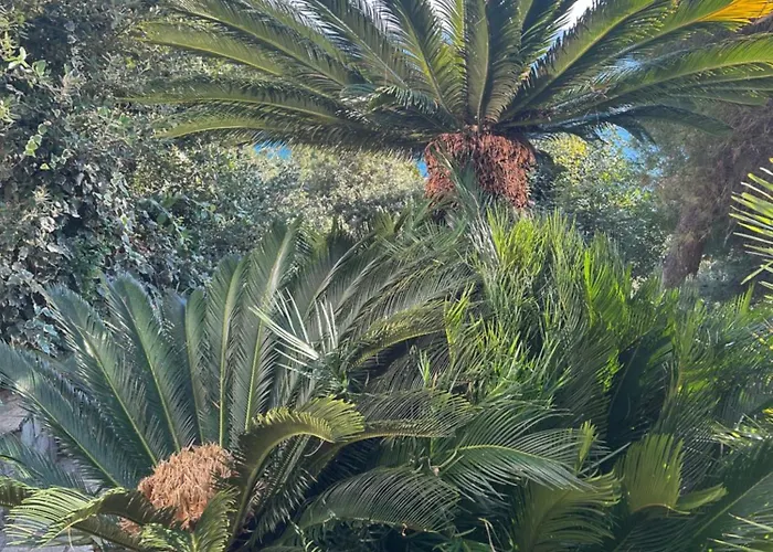 Estasi Di Cabiria Apartment